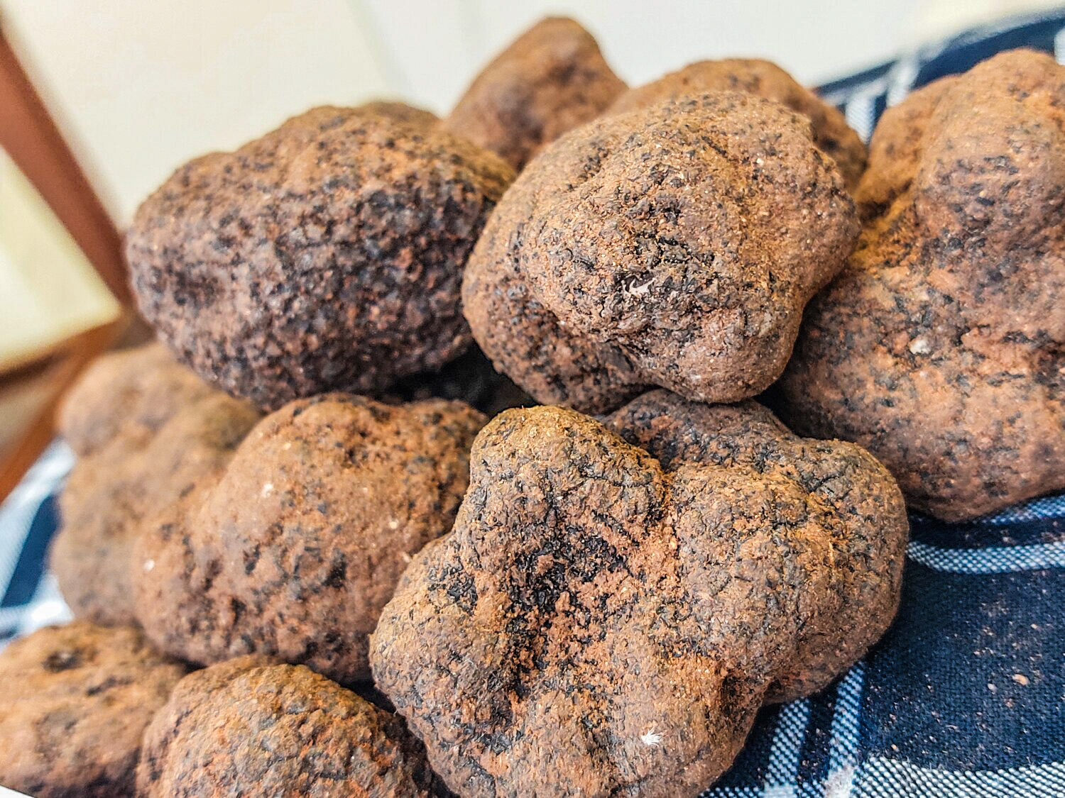 Il tartufo di Acqualagna Il tartufo di Acqualagna