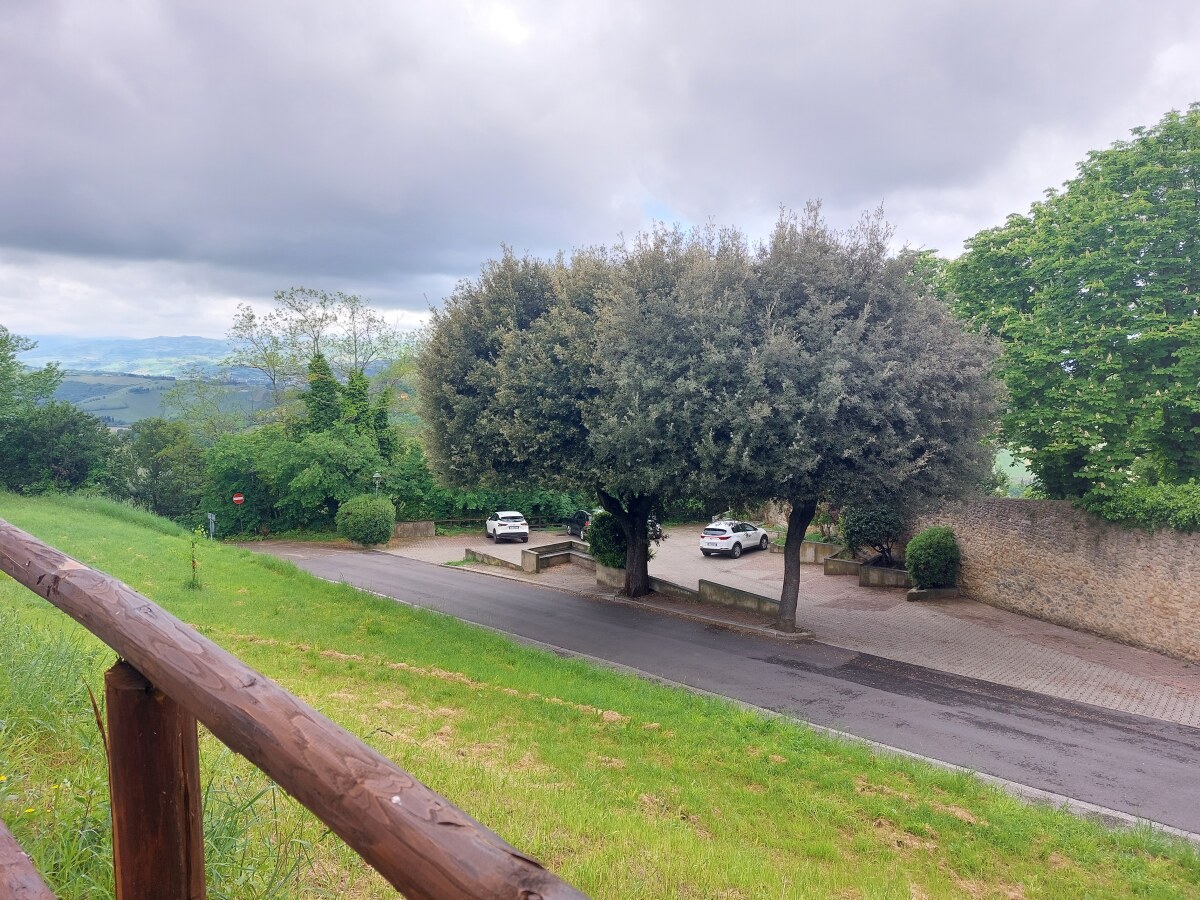 dove parcheggiare a Bertinoro