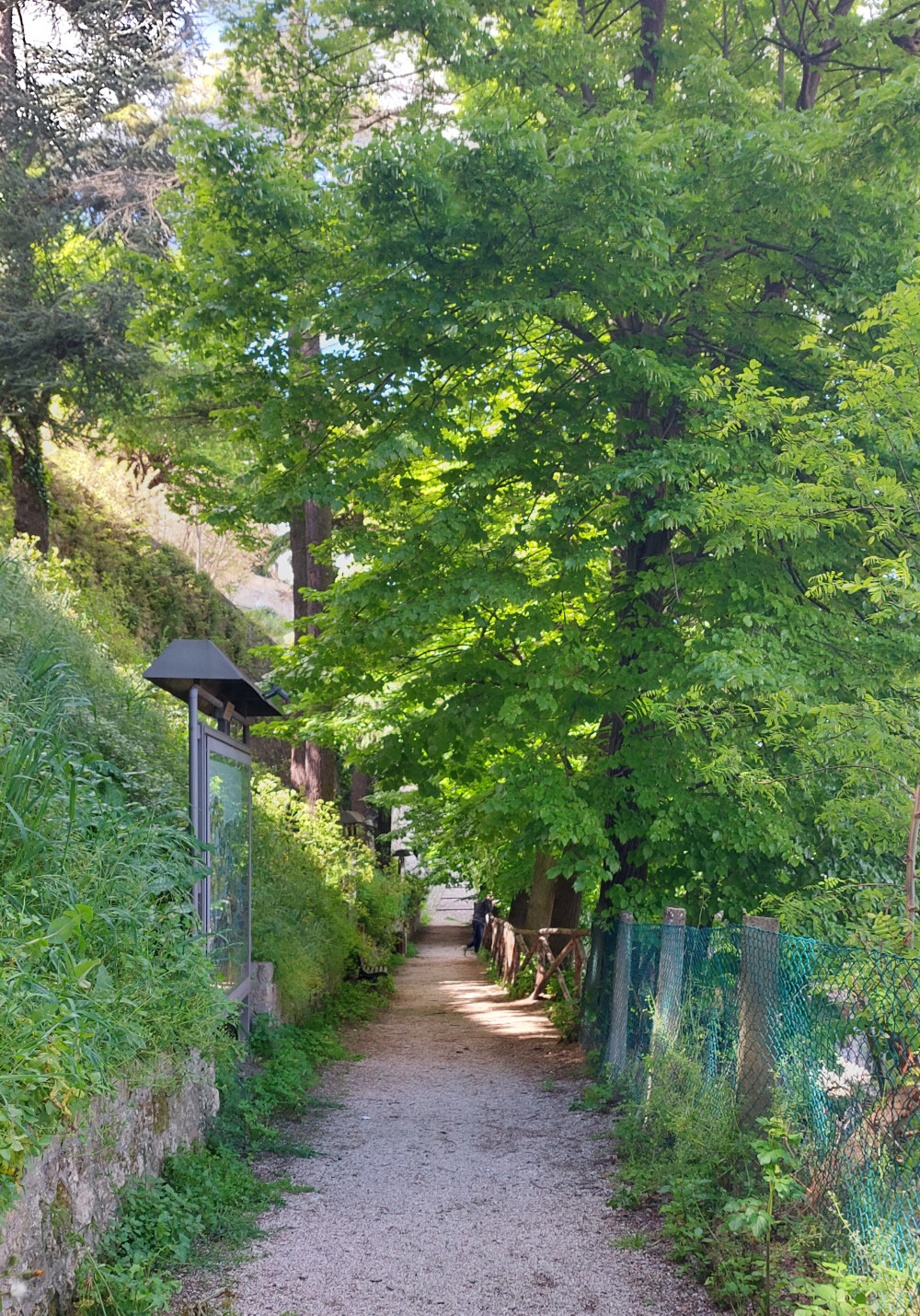 Strada della Vendemmia a Bertinoro