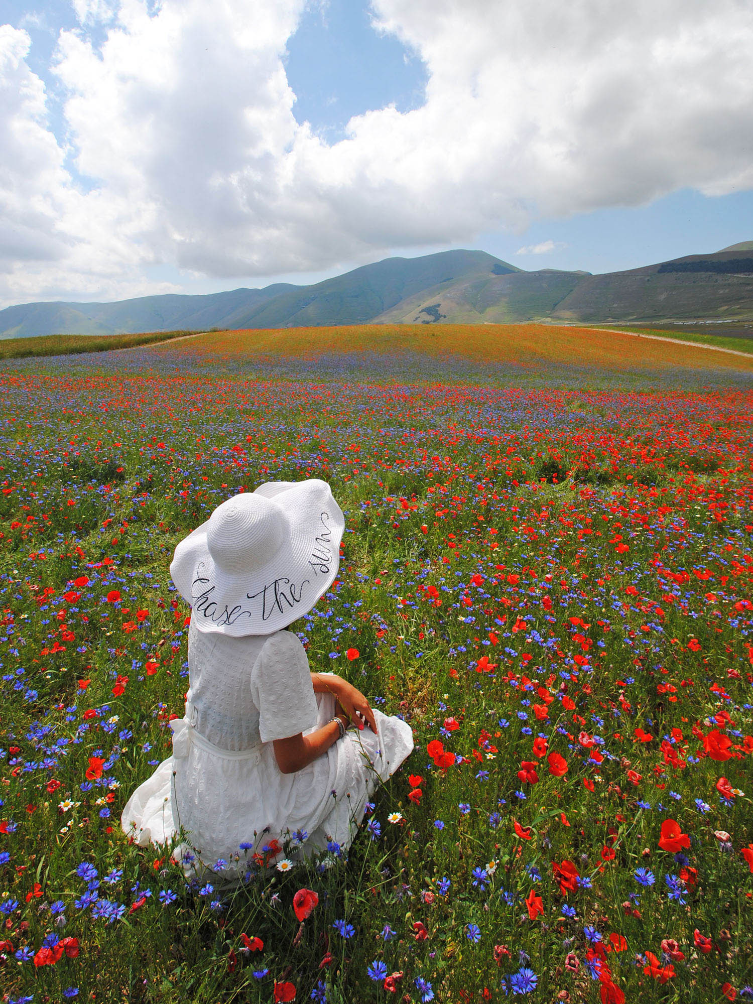 bosco a forma di Italia Castelluccio di Norcia