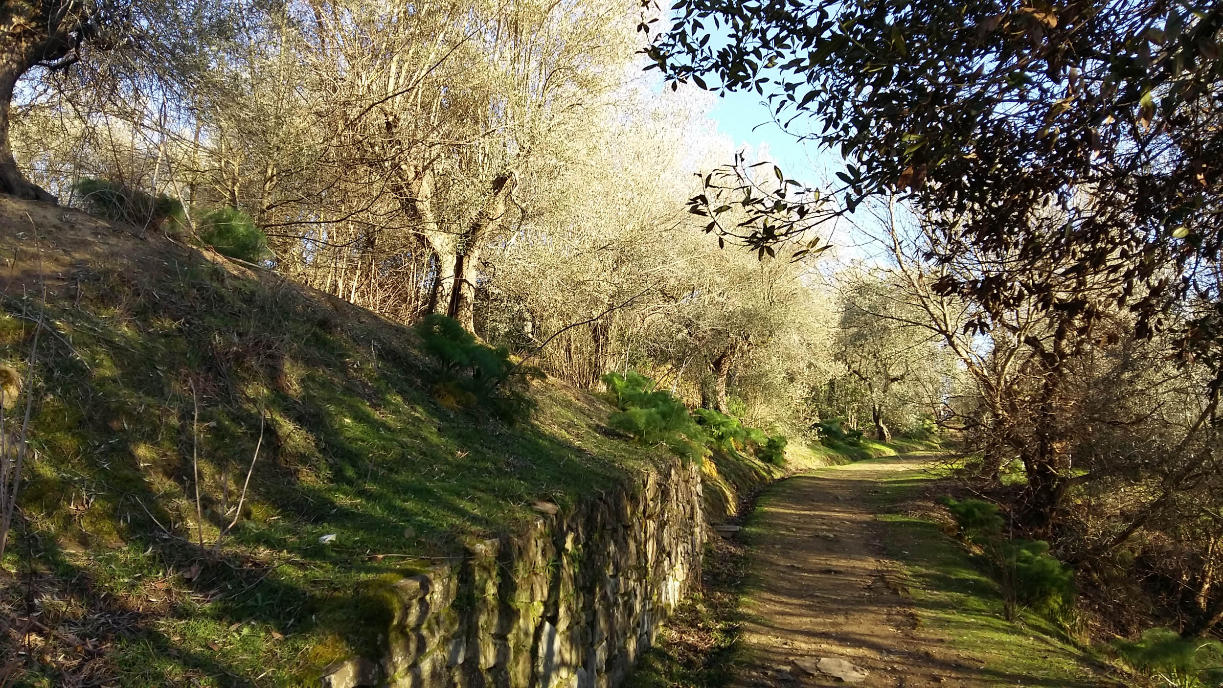 Sentieri naturalistici Sentieri naturalistici