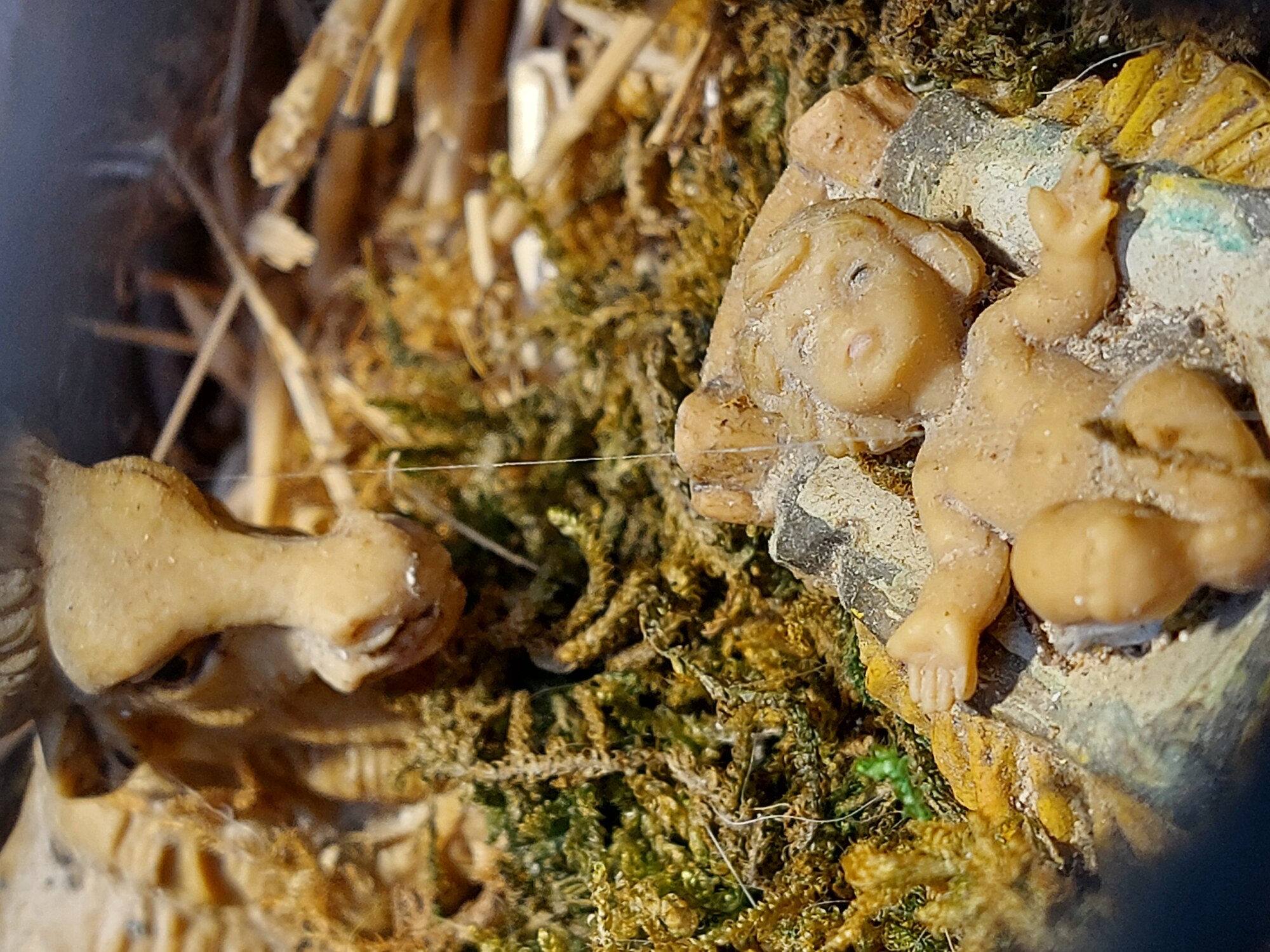 Fiorenzuola di Focara Borgo presepe