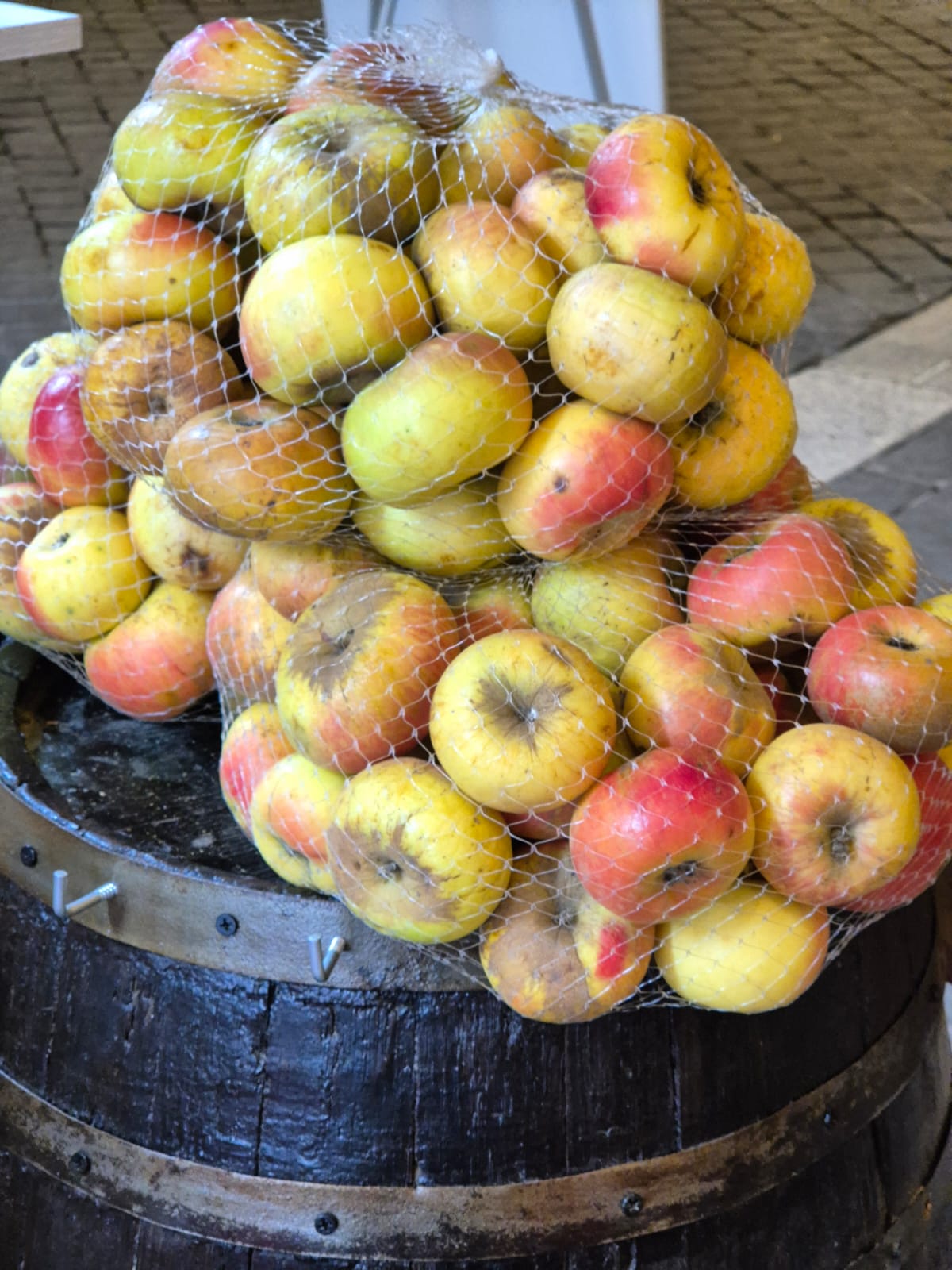 mela rosa dei Sibillini