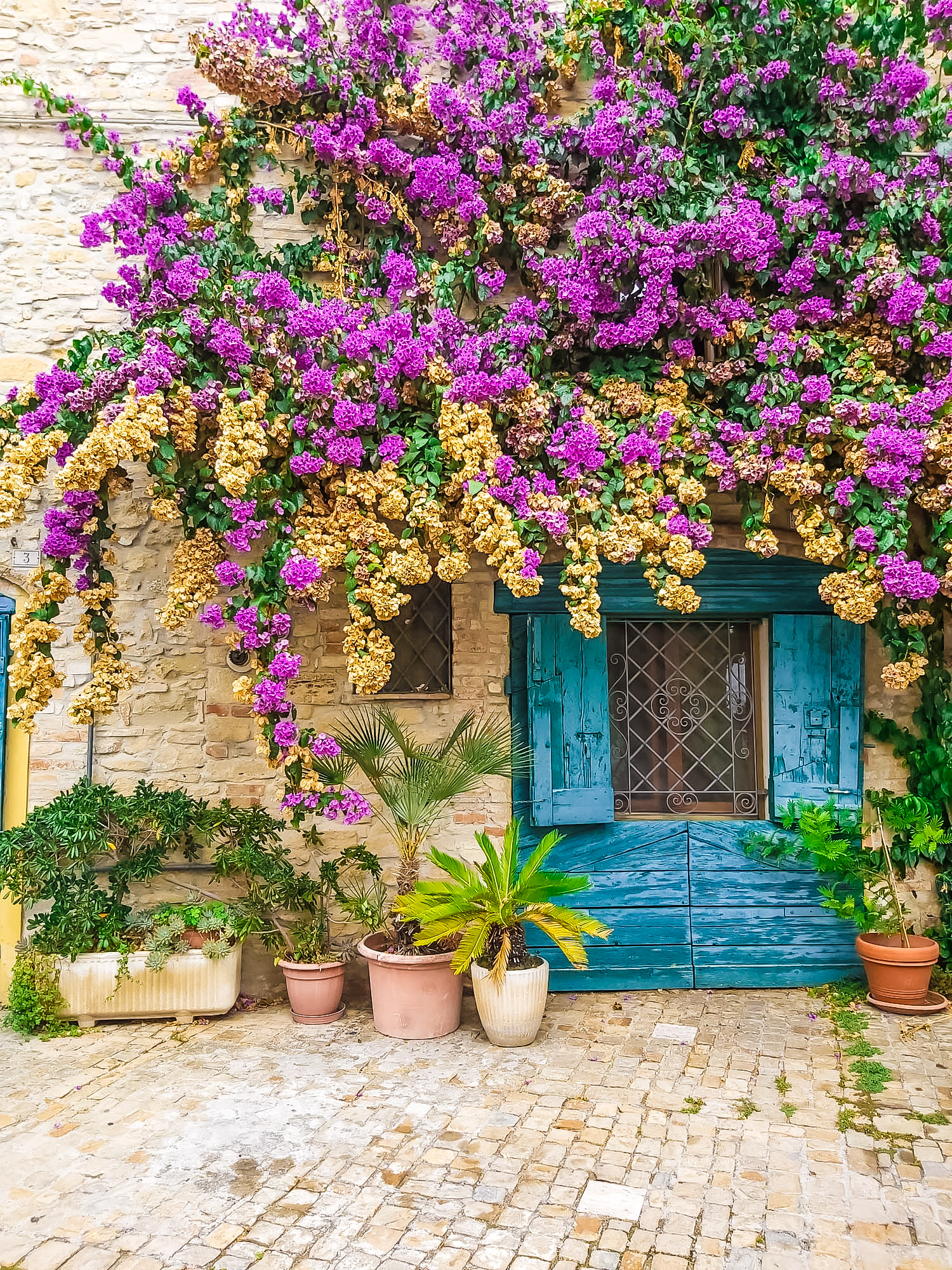 Vicoli fioriti Torre di Palme