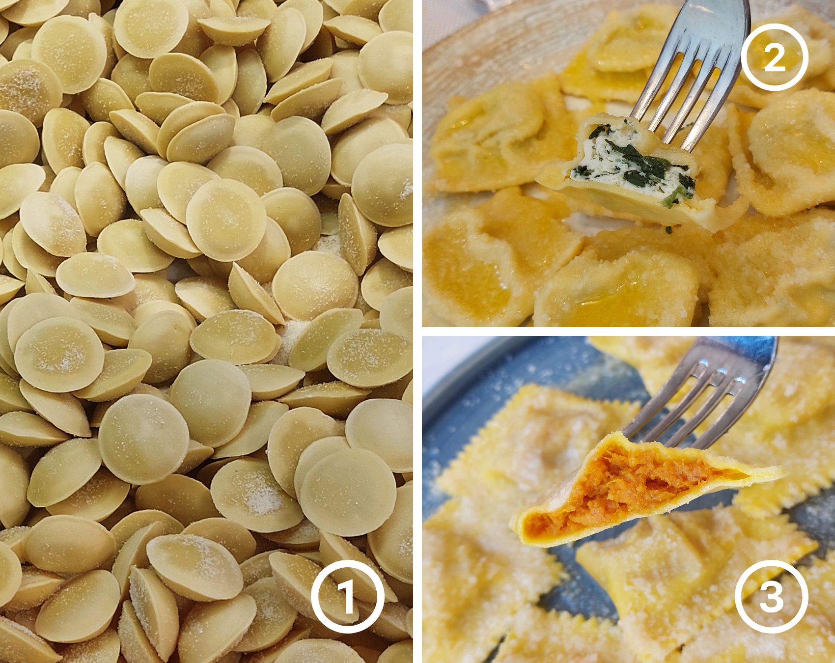 cosa mangiare a Parma cosa mangiare a Parma