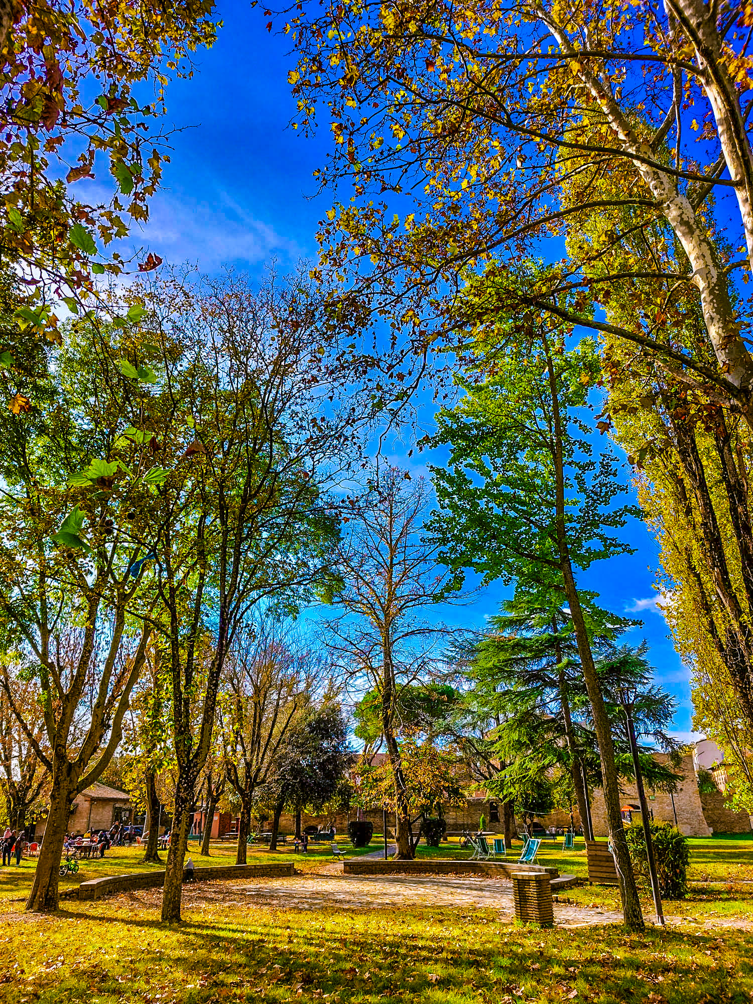 Giardini della rocca