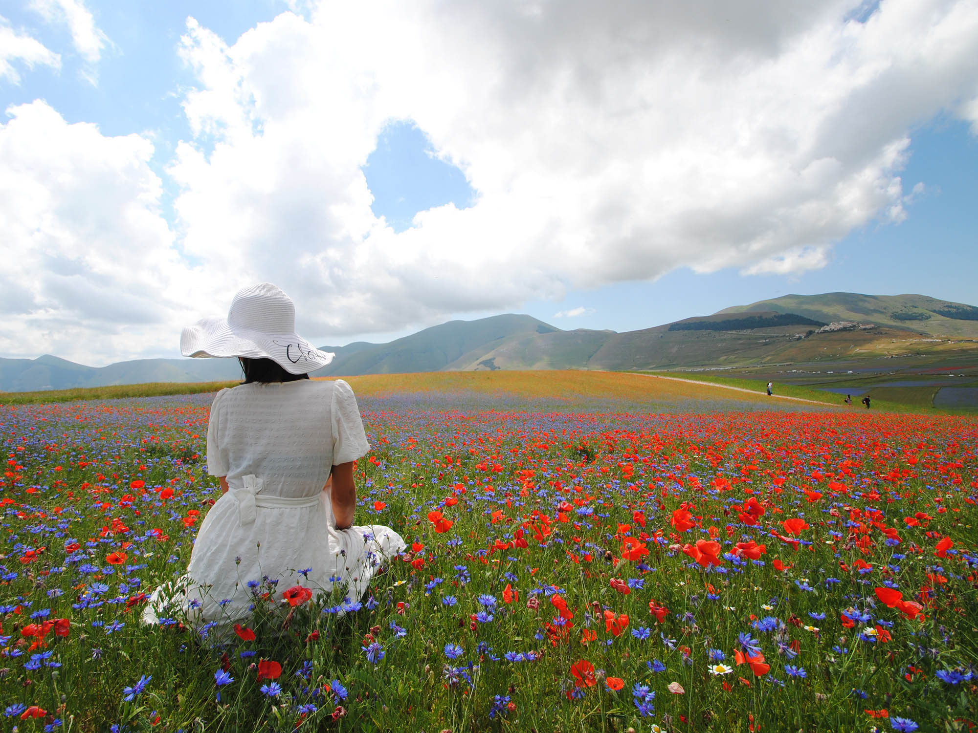 Cosa fare a Castelluccio di Norcia per fioritura