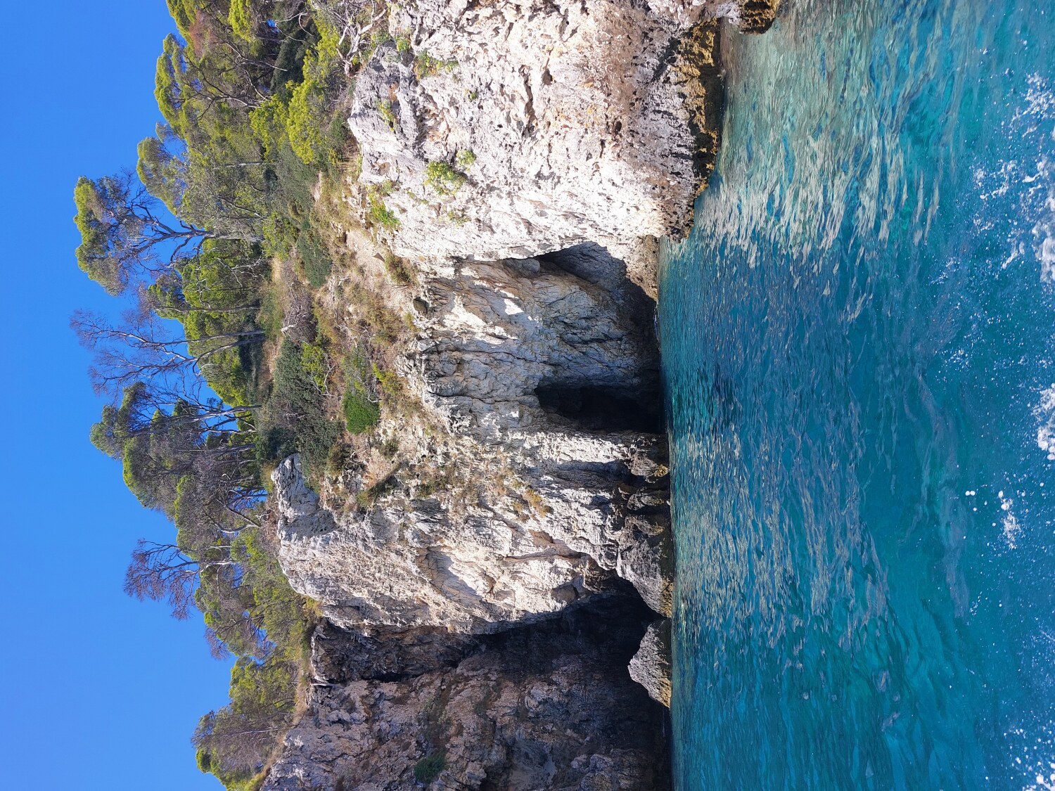 Grotta delle viole Isole Tremiti Grotta delle viole Isole Tremiti